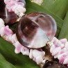 Schmuck-Set Lei, Nahaufnahme einer Violet Oyster-Perle