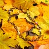 Longkette Goldener Herbst, Gesamtansicht