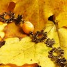 Longkette Goldener Herbst, Nahaufnahme des Orangencalcit-Nuggets