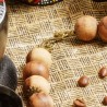 Schmuck-Set Sidamo, Detailansicht vom Hakenverschluß der Halskette
