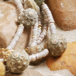 Schmuck-Set Green Star Shell, Nahaufnahme der Halskette vorn rechts