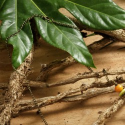 Halskette Oriente, Detailansicht vom Kettenverschluß