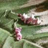 Schmuck-Set Vanda, Detailansicht der Ohrringe