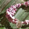 Schmuck-Set Vanda, Nahaufnahme vom Spiralarmband links