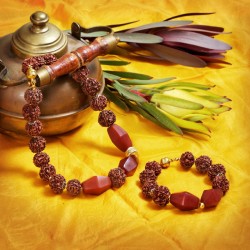 Maharashtra, Gesamtansicht vom Halskette und Armband aus Rudraksha- und Harzperlen